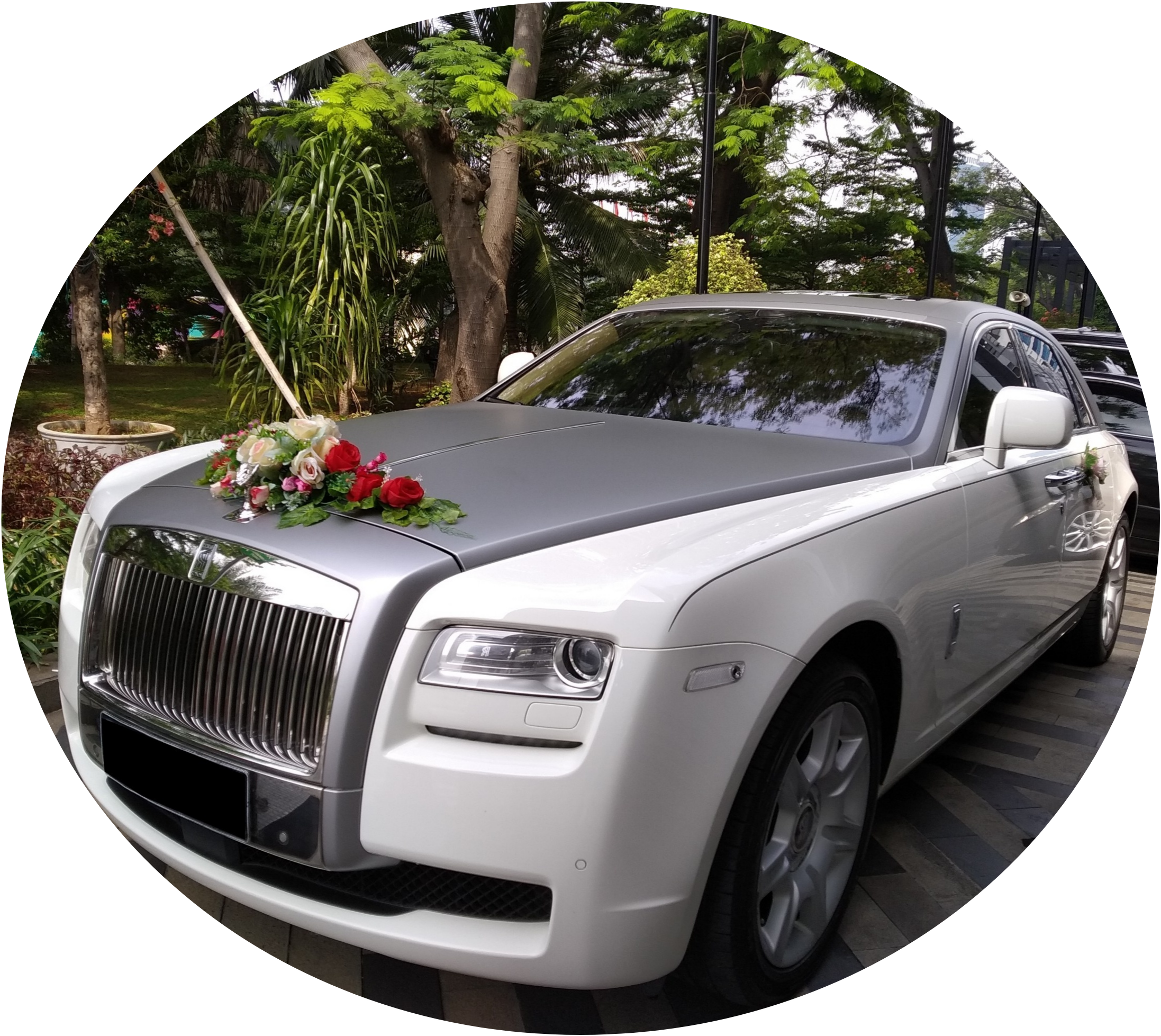 Alphard sewa rental mobil  pengantin  mewah wedding car 